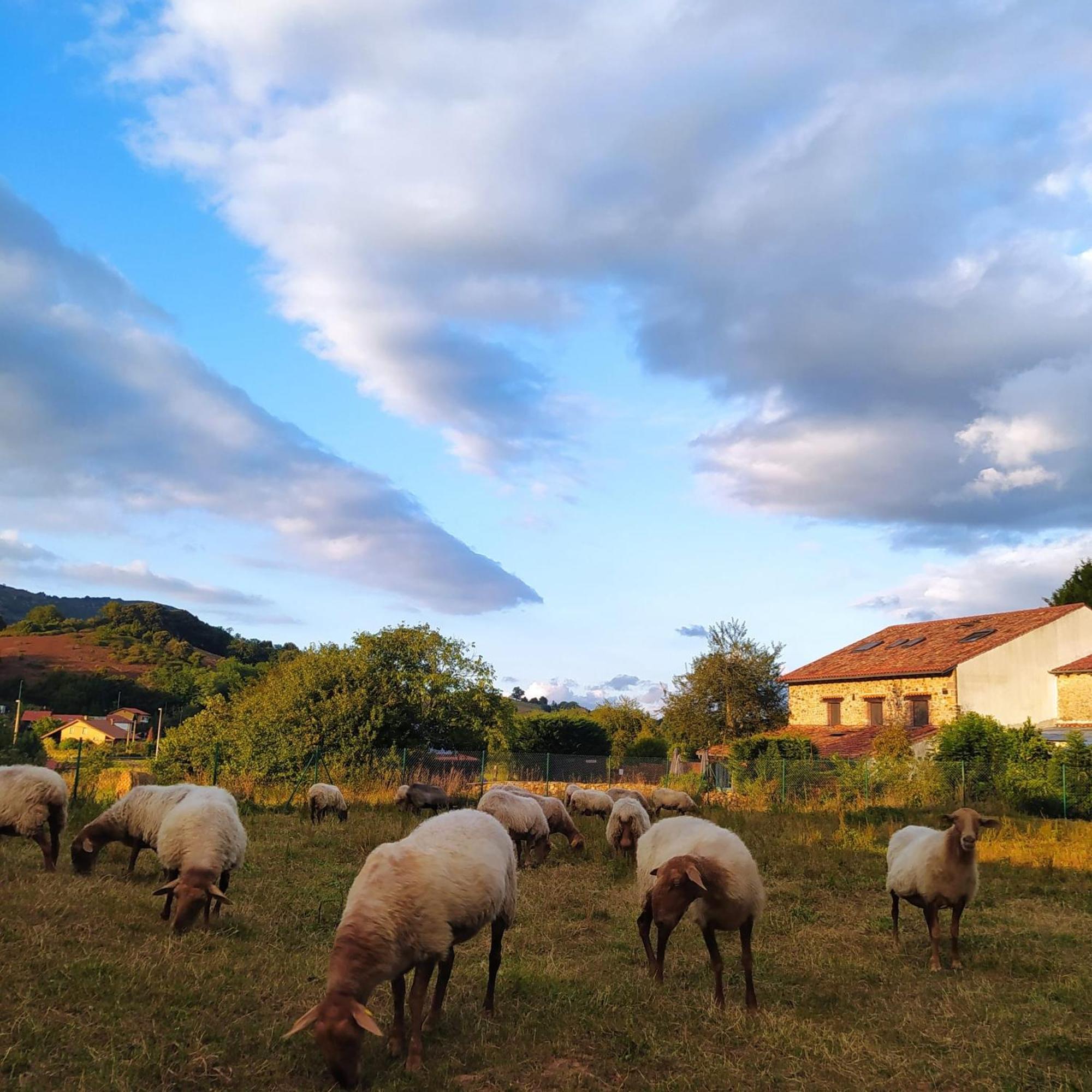 Posada La Corralada Pámanes Exteriör bild